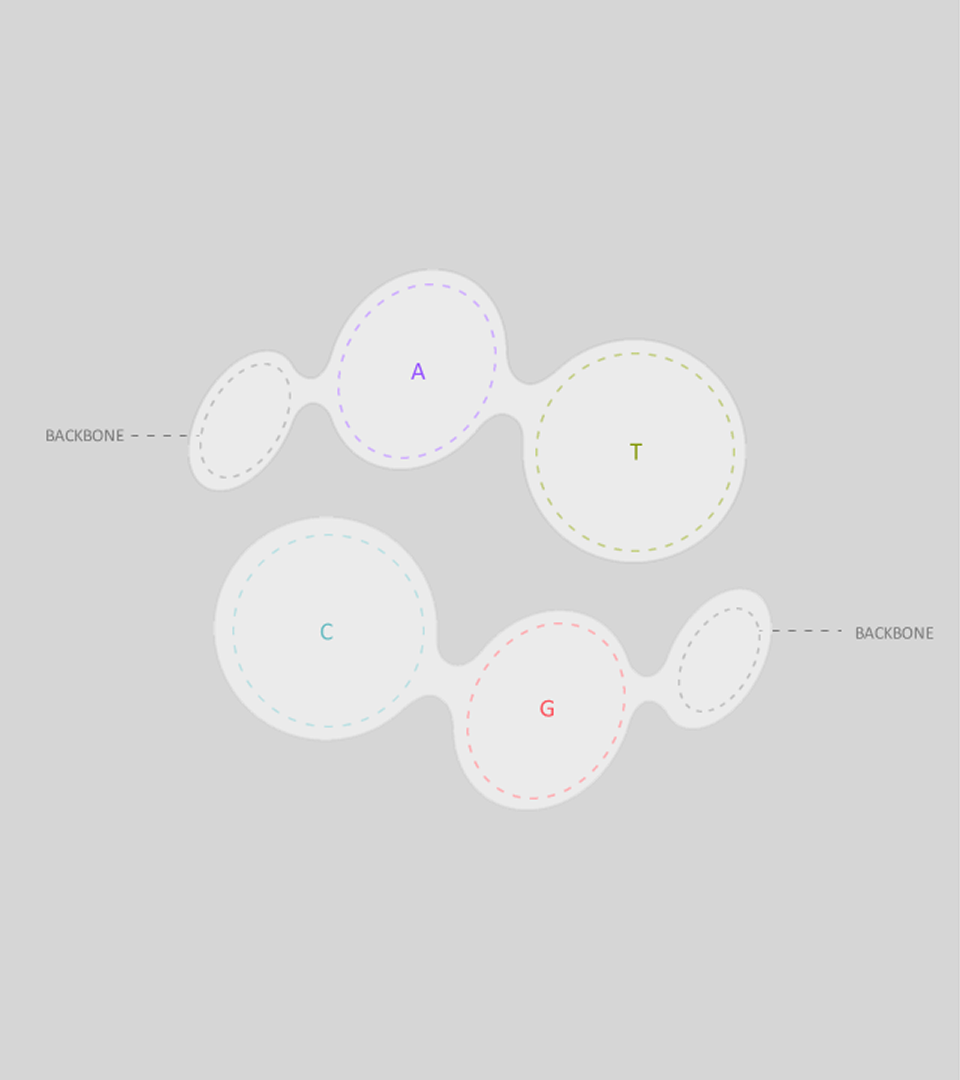 Lipotion brand symbol blueprint